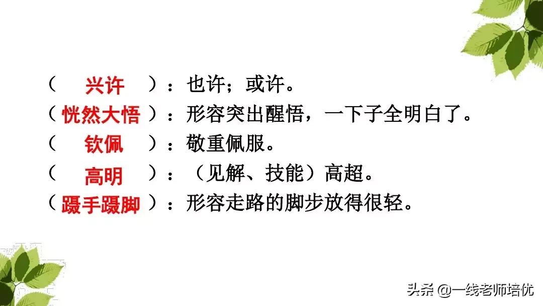 带刺的朋友三年级上册,三年级语文带刺的朋友课文知识点