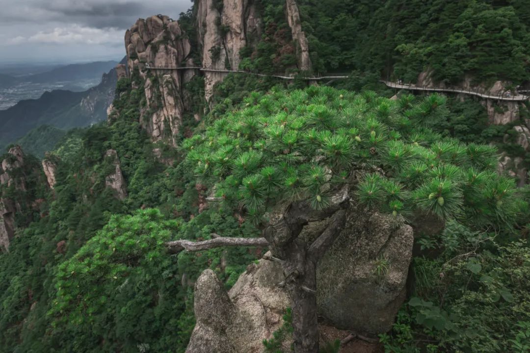 我国四大名山九华山,四大佛教名山哪个风景最美