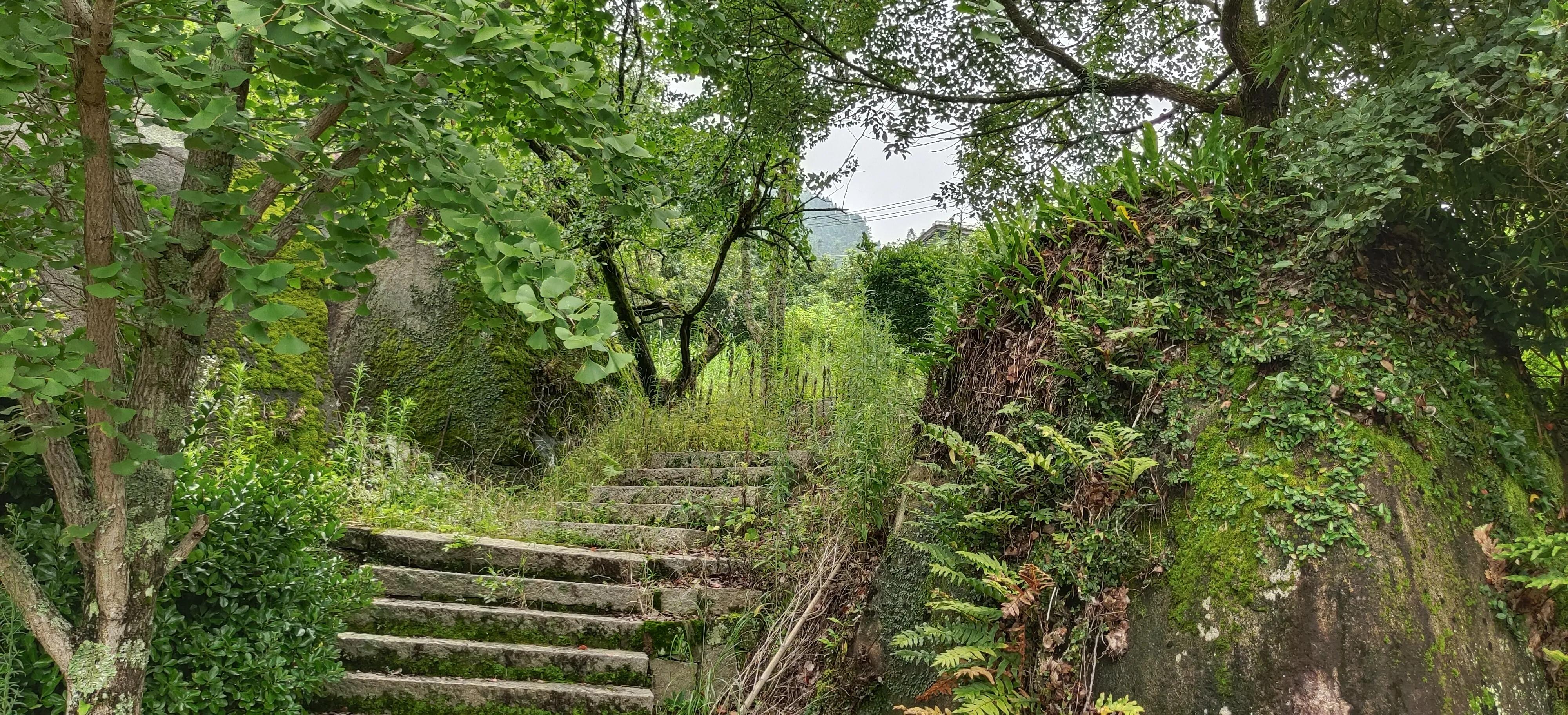 登上绝壁悬崖感受一览众山小,登上泰山之巅的感觉