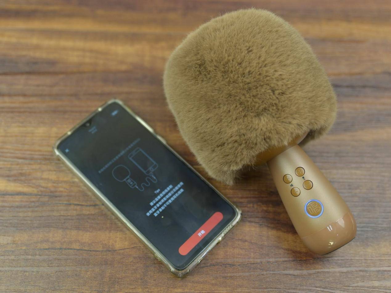 唱吧小巨蛋g2测评布朗熊,唱吧麦克风g2小巨蛋布朗熊