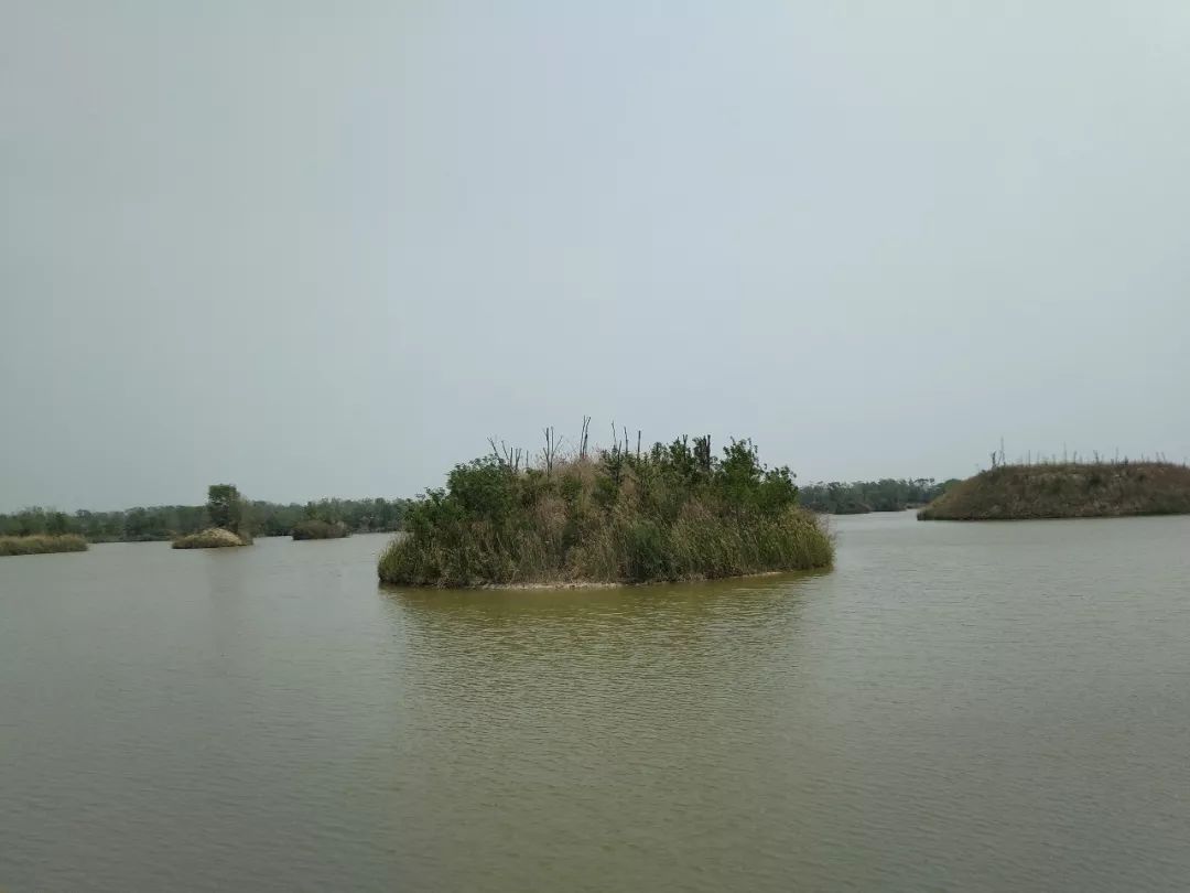 一个心灵的栖息地——游冠县马颊河生态旅游度假区有感