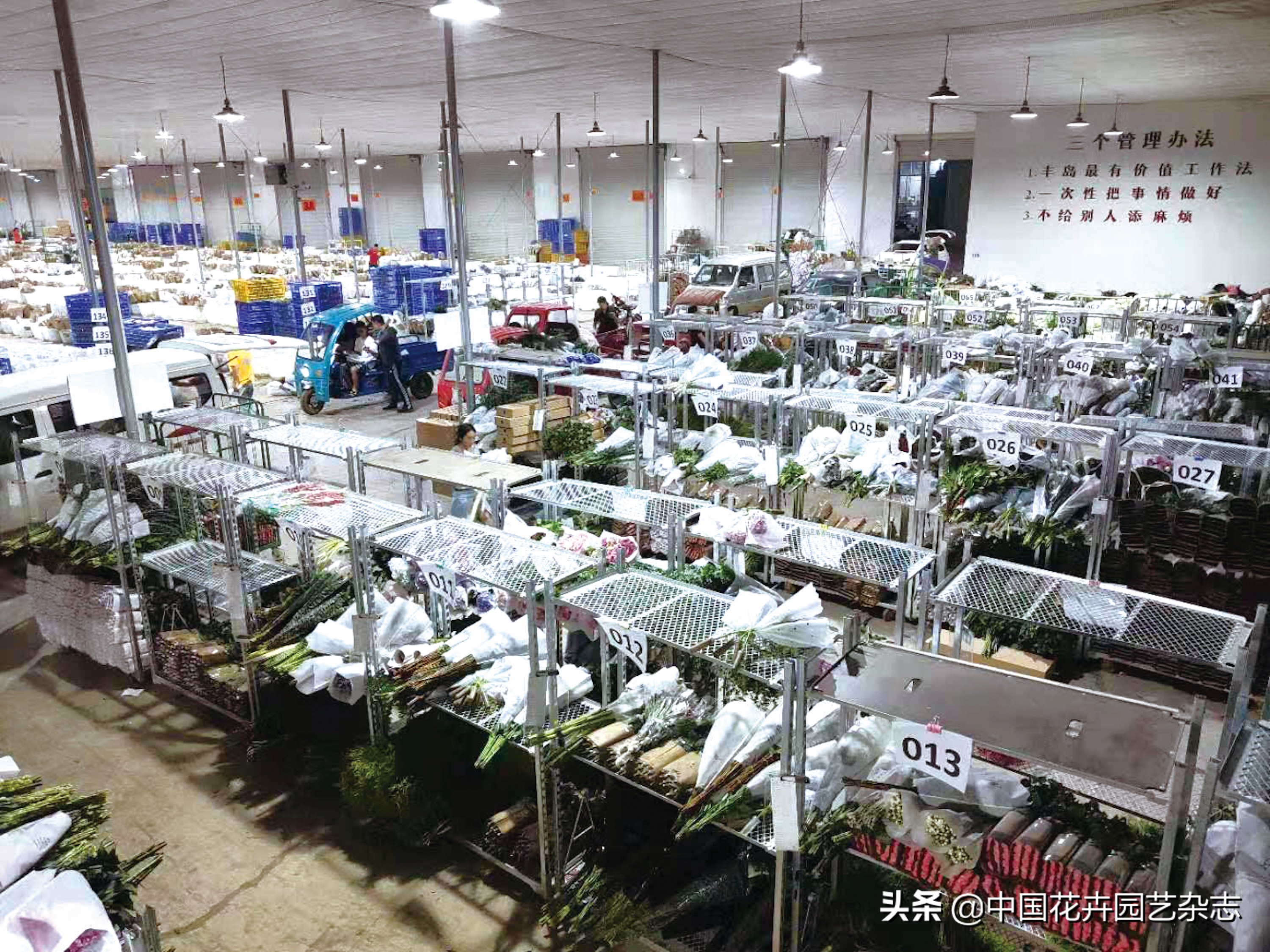 传统电商平台:不变的是一直在变|《中国花卉园艺》2020年7期专题