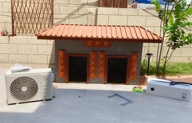 花三年建宠物乐园,花20万给狗打造乐园