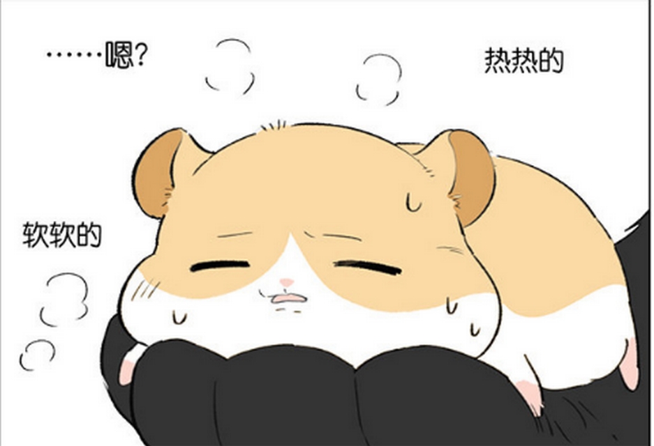 仓鼠的跑步速度有多快,小仓鼠跑步有多快