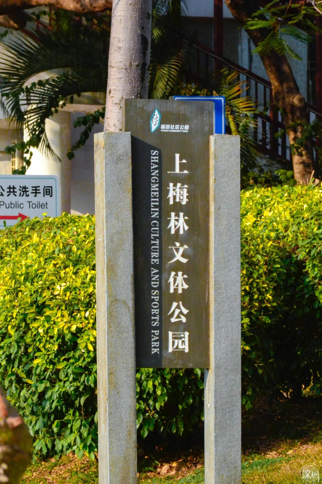 上海梅林有多厉害,上梅林有什么好处