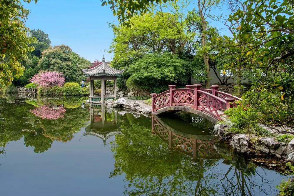 染井吉野樱花江浙沪,染井吉野樱花期10天