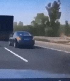 gif搞笑动图大全幽默瞬间,搞笑gif动图步骤