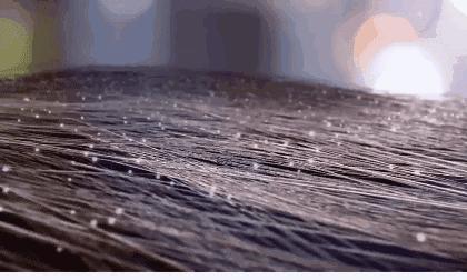 头发毛躁并且脱发推荐洗发水,用什么洗发水改善头皮脱发