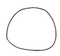 超详细的动物简笔画教程,儿童简笔画入门动物0-3岁教学