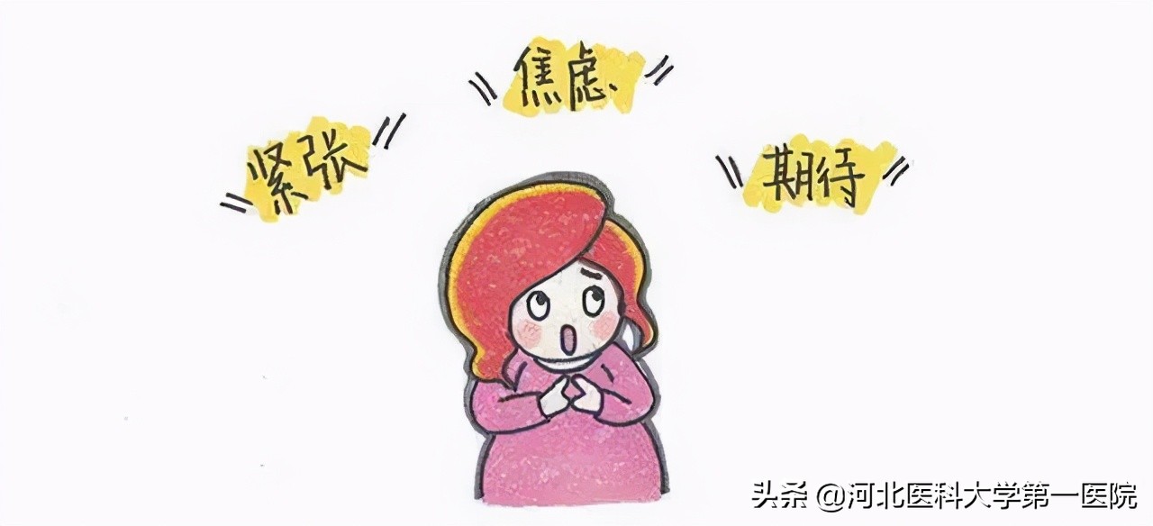 宝妈孕检收藏册,孕期知识速查孕妇必看