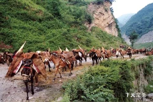 沱茶是云南名茶吗,沱茶是普洱茶的一种吗