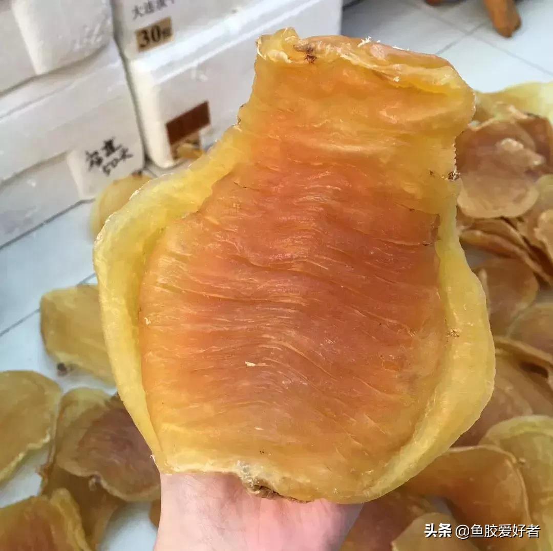 十大鱼胶排行,十大鱼胶品牌