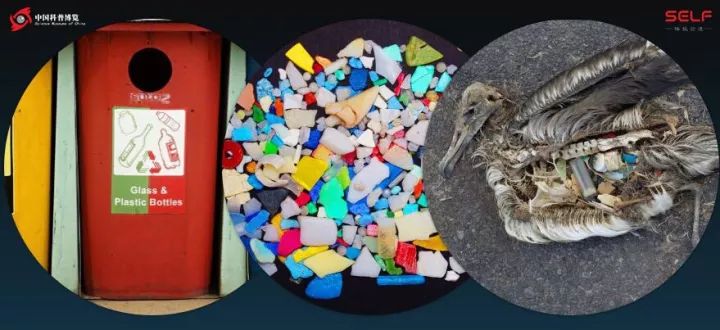 微生物降解塑料,生物塑料可以被微生物降解吗