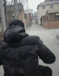 女人遇到狼怎么办,女孩遇见色狼如何自救