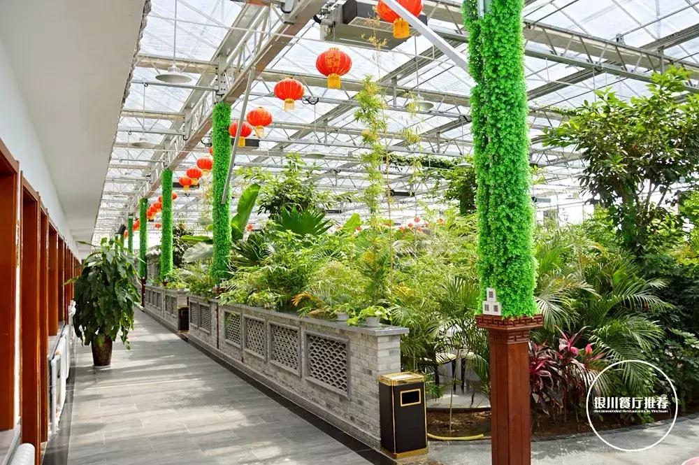 银川清真的农家乐烤全羊哪家好吃,银川烤全羊的海鲜自助推荐