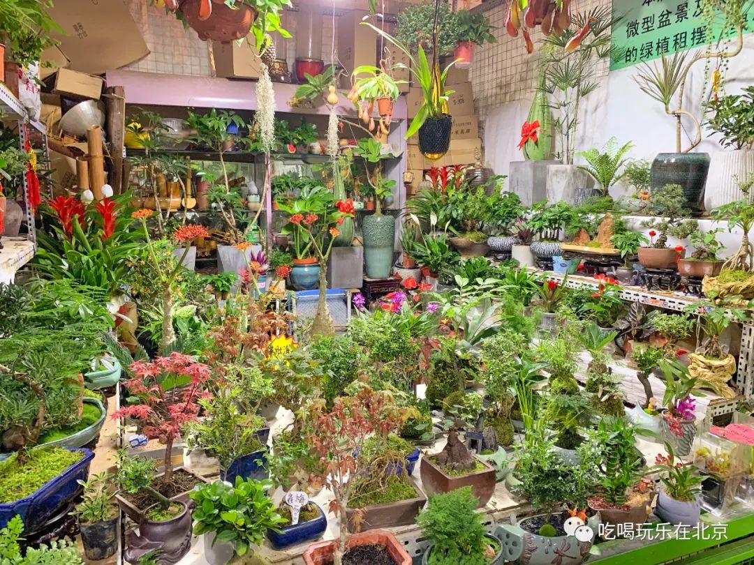 北京崇文区西花市大街,北京通州花市在哪里