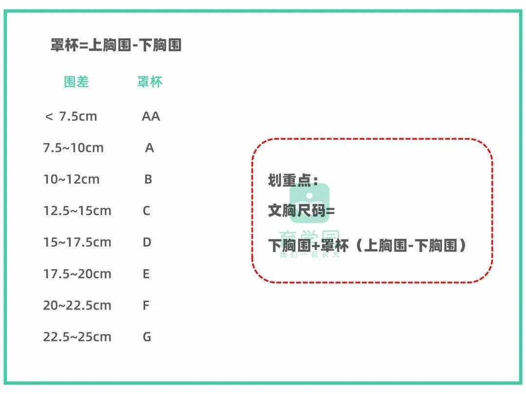 乳房的生理阶段可以划分为各时期,乳房的基础知识和护理