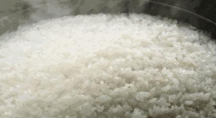 正宗五常大米黄钻稻花香米,大米推荐好吃的五常大米