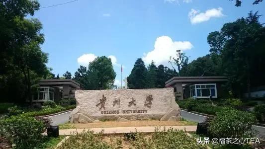 湖南农业大学茶学专业怎么样,广西有哪些高校开设茶学