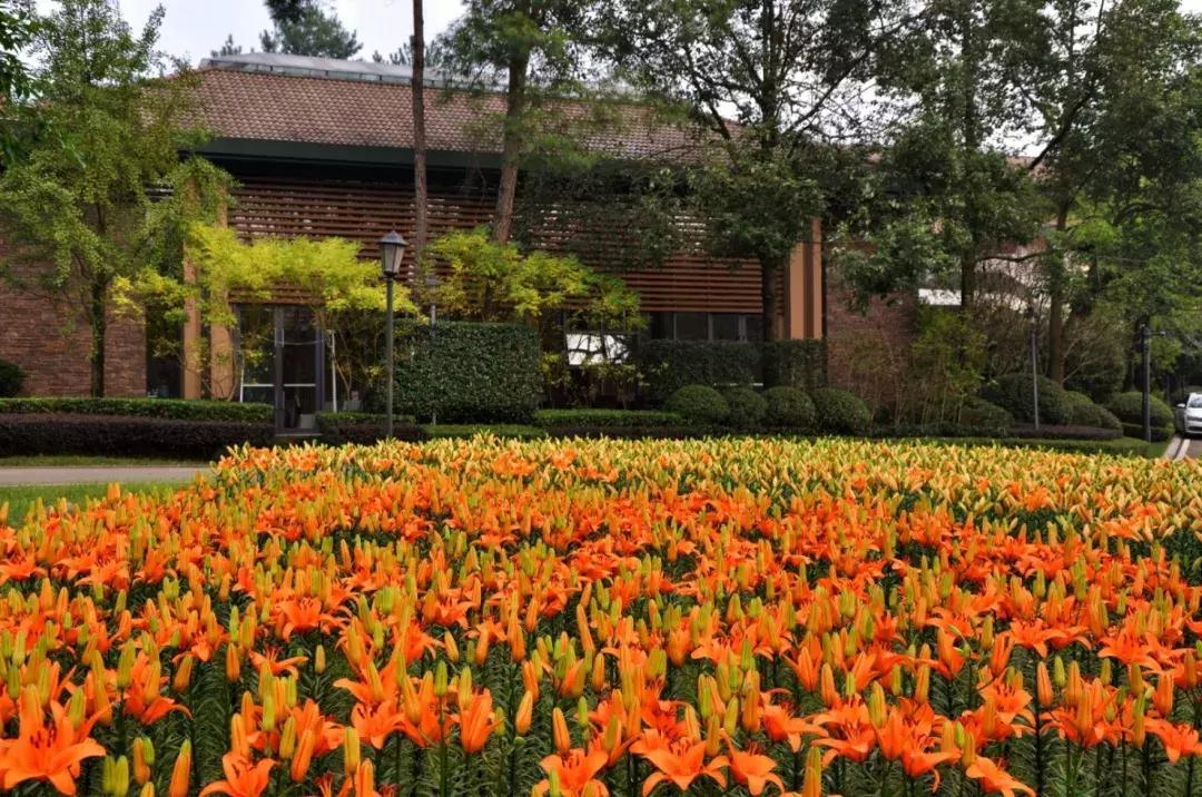 石象湖景区团购,石象湖景区门票特价
