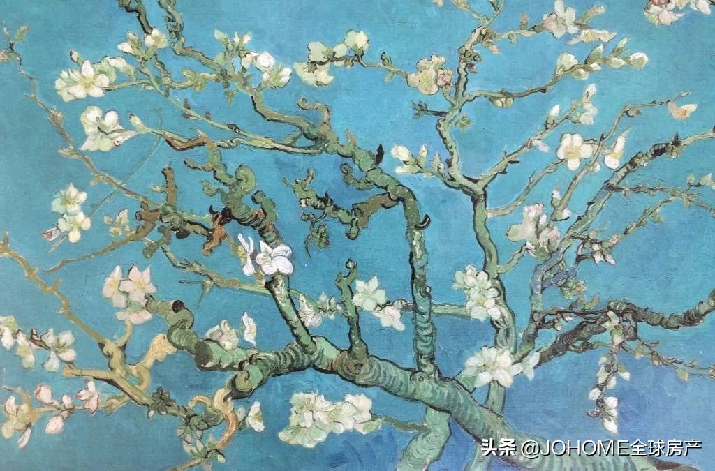 去了荷兰，168的我感觉自己像个霍比特人