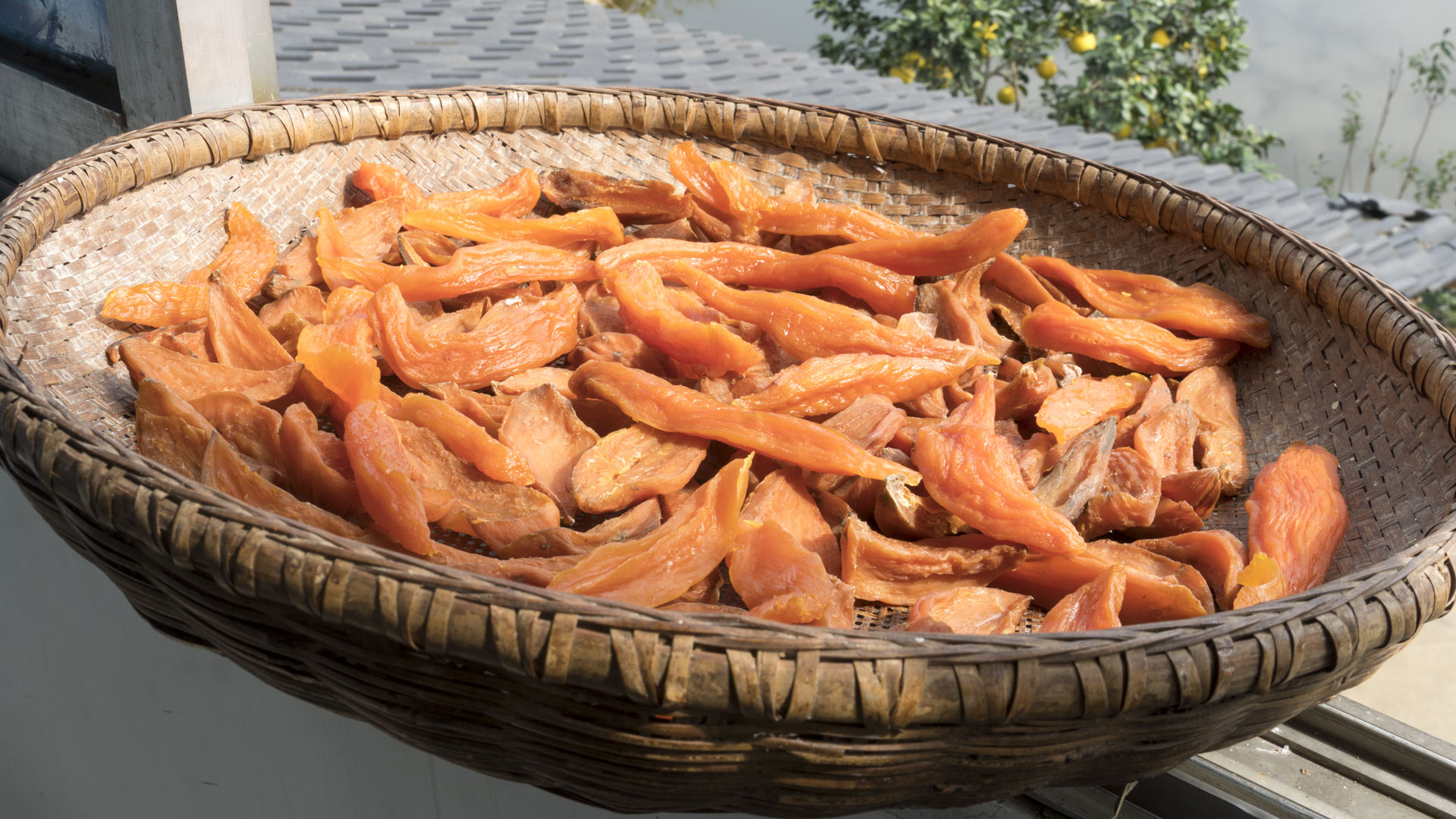 秋季滋补多吃10种食物,秋季食疗养生食谱