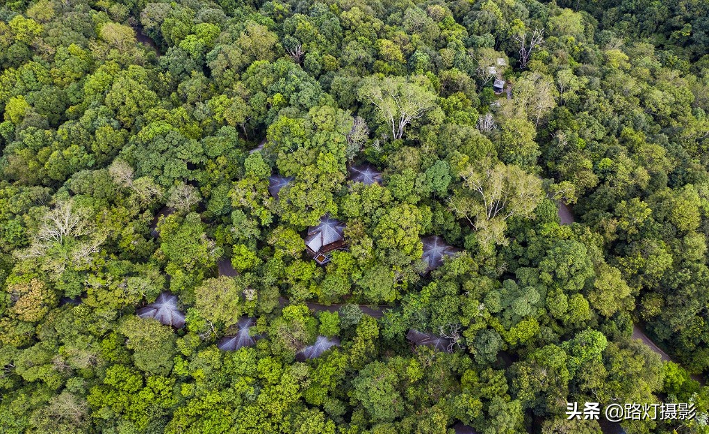 冬天云南哪里最适合居住,云南哪个城市冬暖夏凉适合养老
