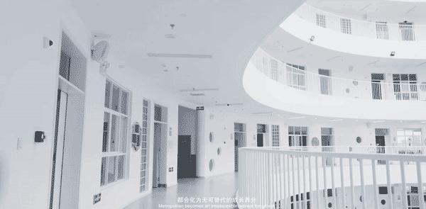 全国十大最美幼儿园排行榜,中国公认的最好的两所幼儿园