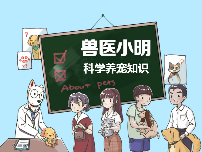 狗狗嘴边挂粘稠口水还呕吐咋回事,狗狗的肚子一直咕噜咕噜响还呕吐