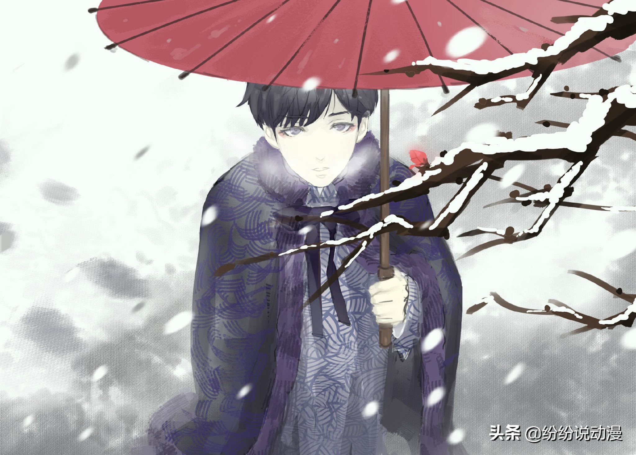 老九门二月红个人信息,老九门二月红的感情戏