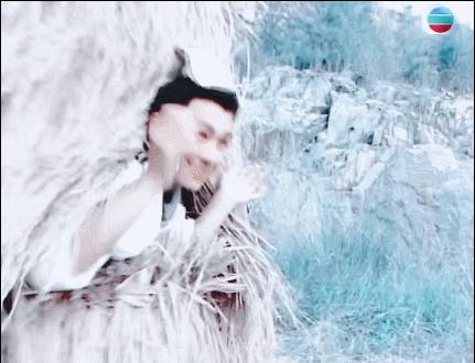 段誉的跌宕人生,段誉世事难料