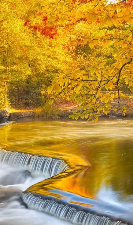 「诗词鉴赏」元曲中的秋天，另一番美丽