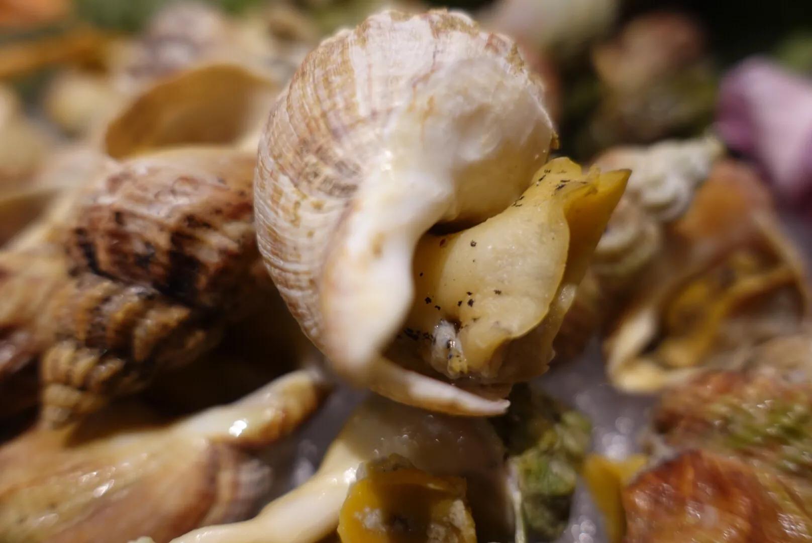 南京这家11年的酒店自助餐，现蒸海味畅吃！鲜掉眉毛～