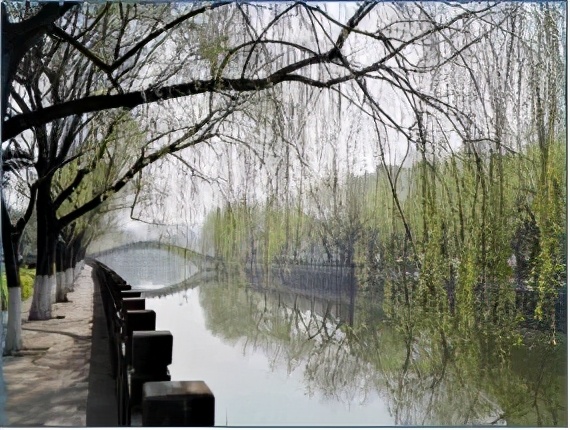 云南禄丰旅游线路攻略图,云南冬季自驾游最佳线路图