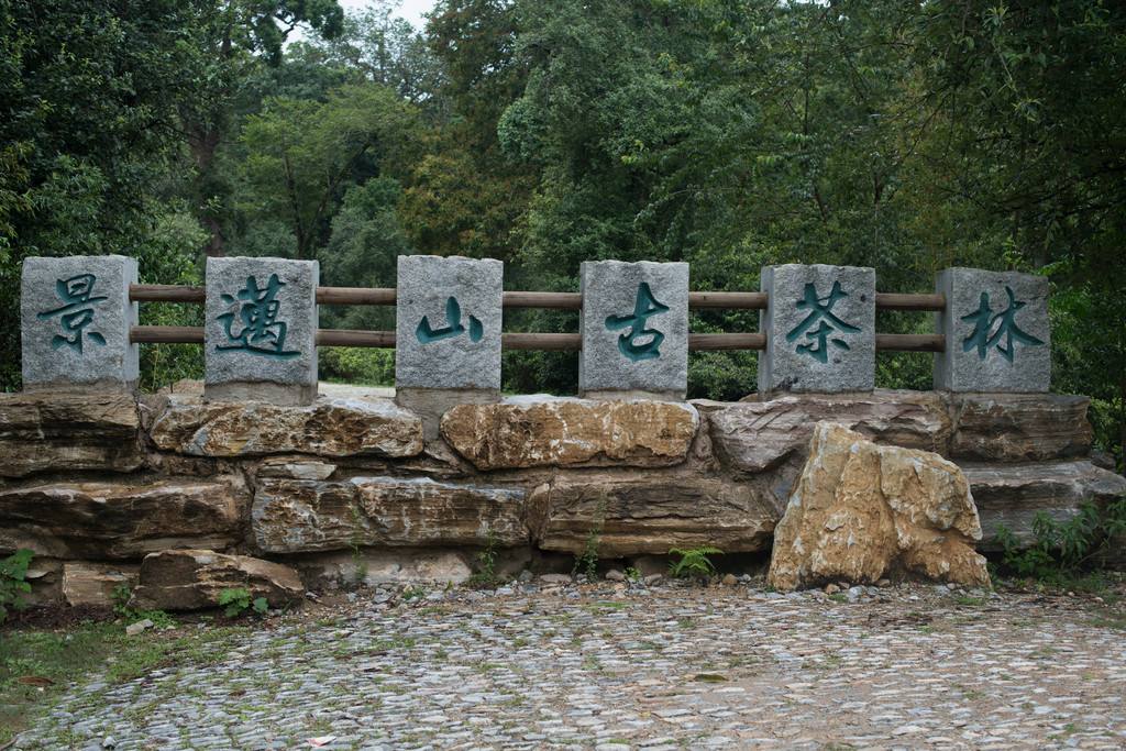 云南普洱茶区六大茶区,普洱茶茶区详细分布图