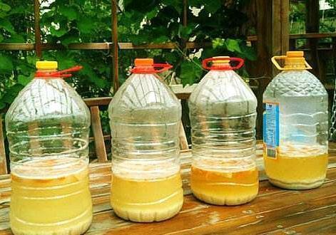 盆栽土壤杀虫的最好杀虫剂,盆栽杀虫杀菌营养液