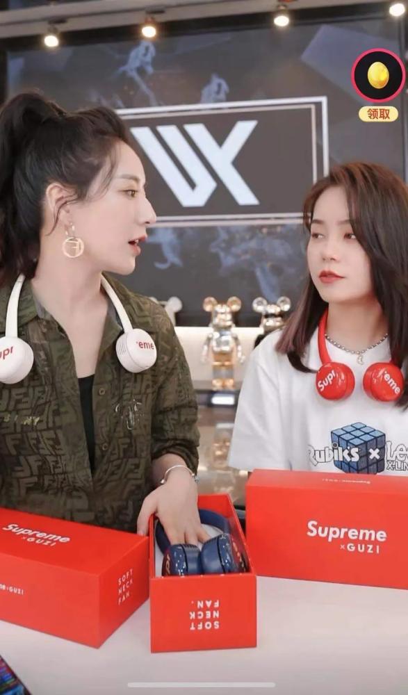 薇娅山寨事件,薇娅下架涉污蔑品牌