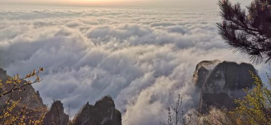 晋城王莽岭一日游攻略,山西王莽岭二日游景点推荐