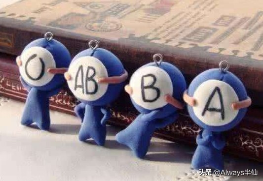 最稀有的血型熊猫,全世界最稀有的三种血型图片