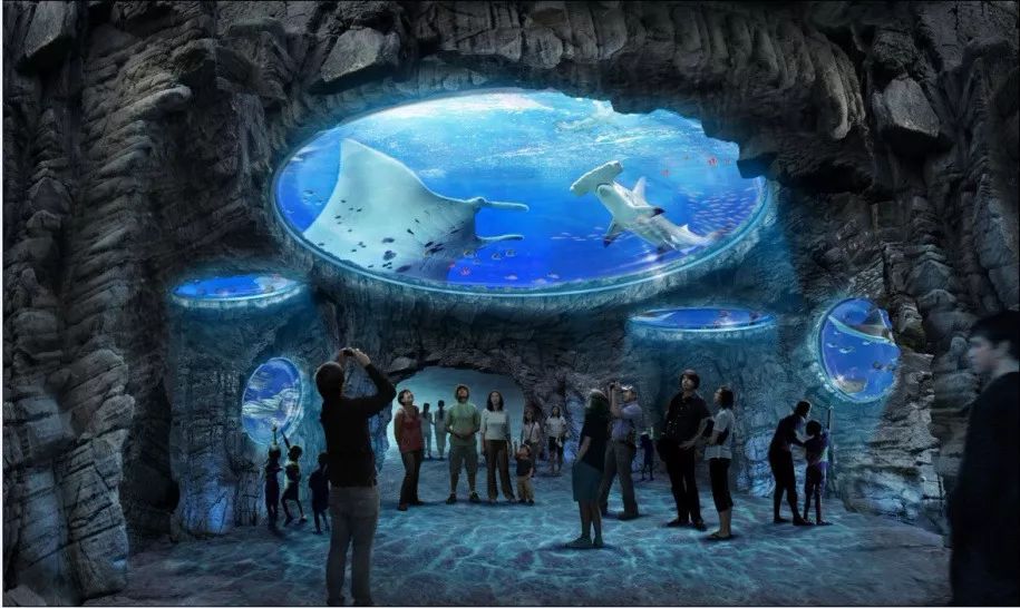 香港旅游购物攻略最全,香港旅游攻略最佳景点