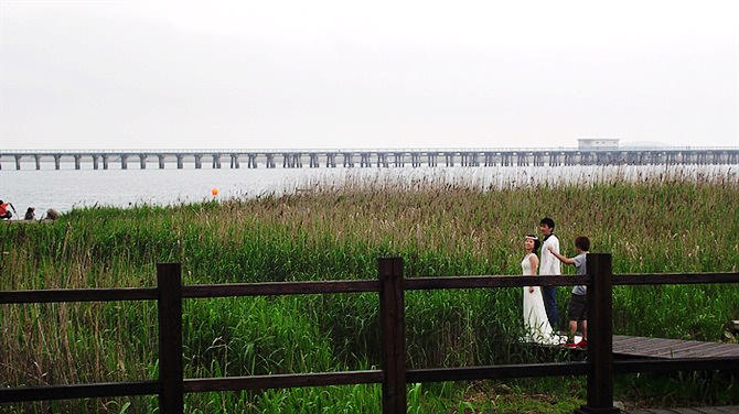 上海金山区有多少沙滩,上海金山沙滩2021门票多少钱