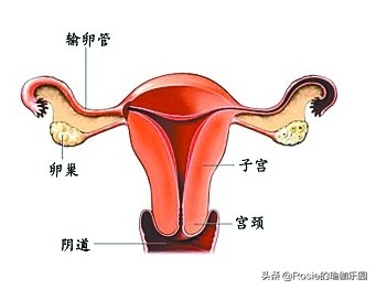 瑜伽哪几个动作可缓解盆腔压力,适合生闷气的人做的瑜伽