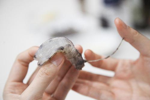 虾皮吃了有什么好处和坏处,经常吃虾皮对身体有什么影响