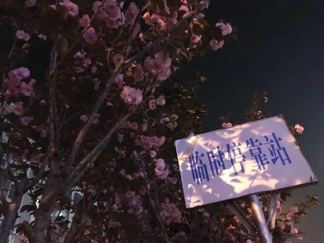 朋友圈应该没有访客记录吧,朋友圈有访客记录