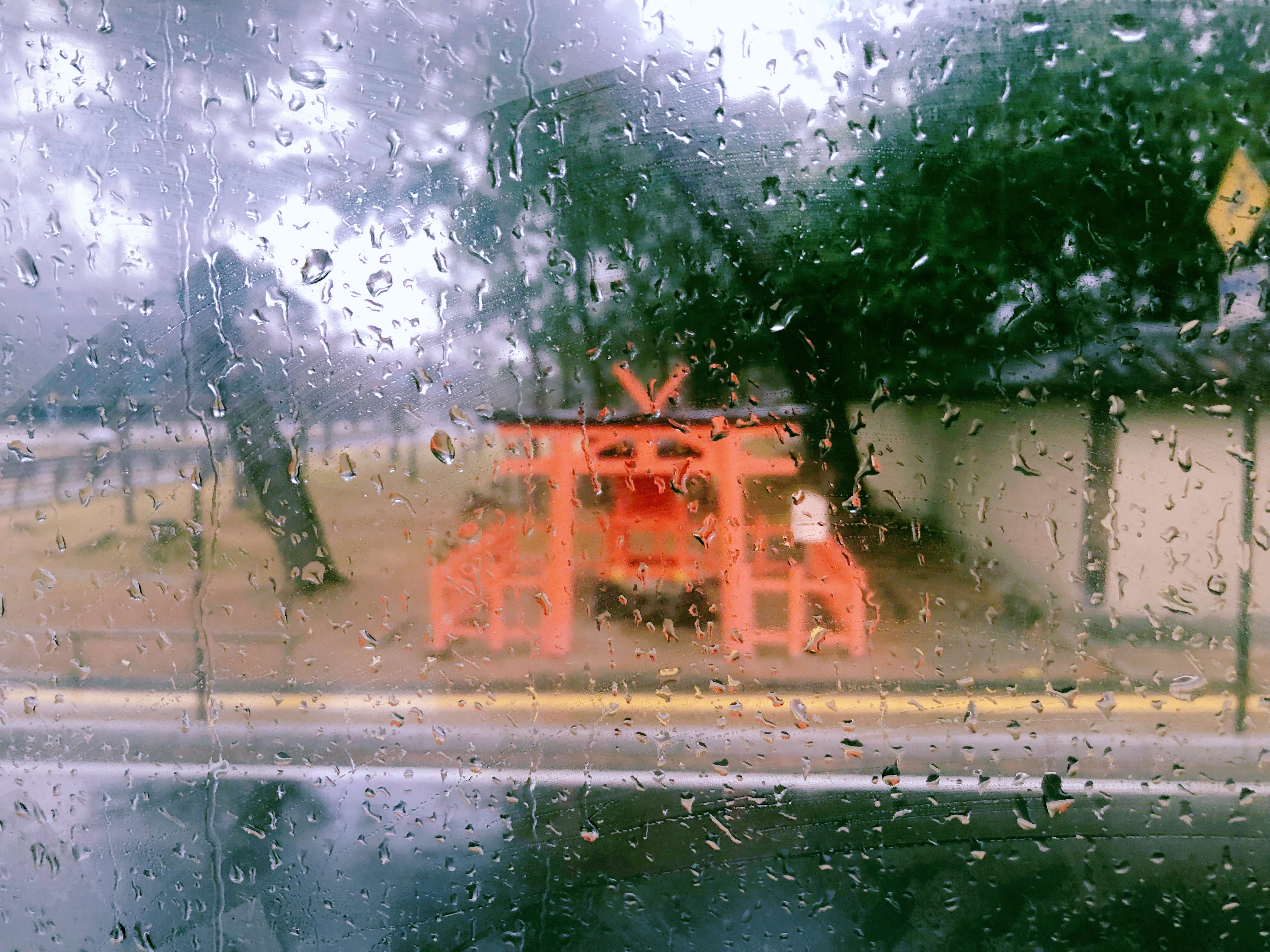 奈良公园小神鹿,日本奈良公园遇见“神鹿”