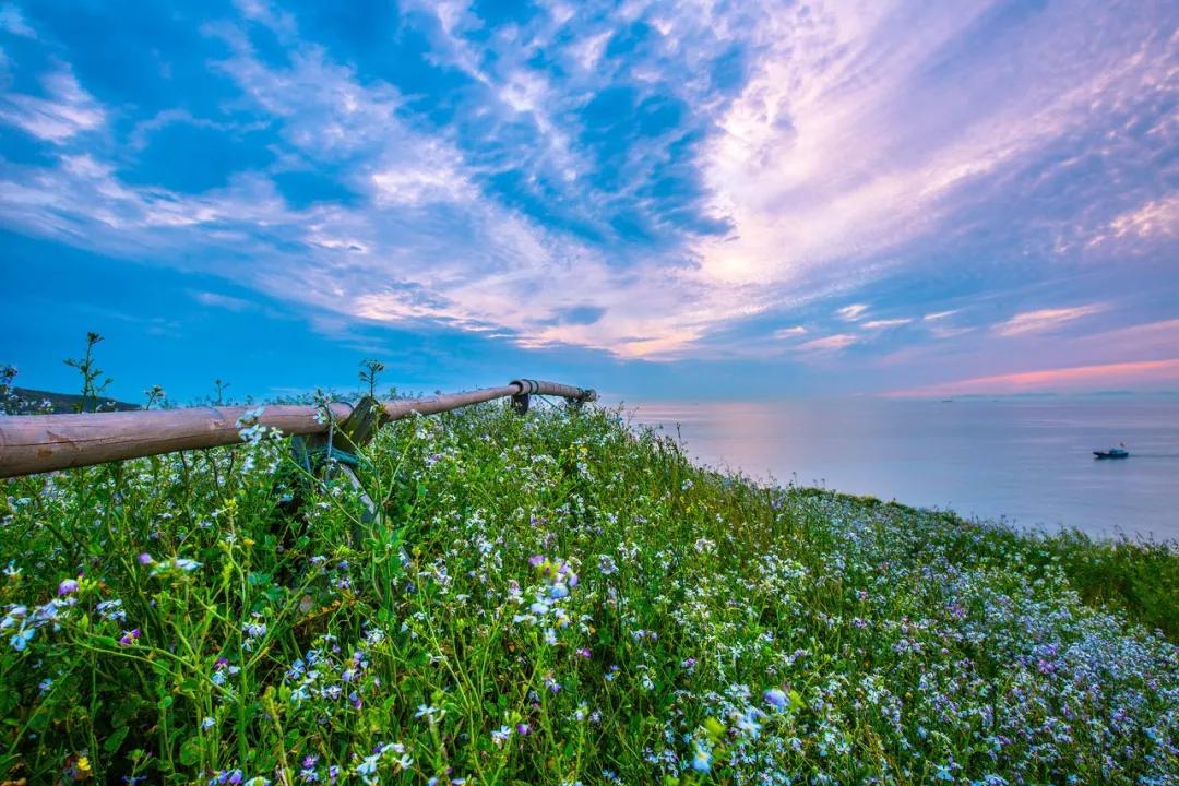 成都五一旅游人少亲子游景点推荐,五一成都旅游去哪儿玩