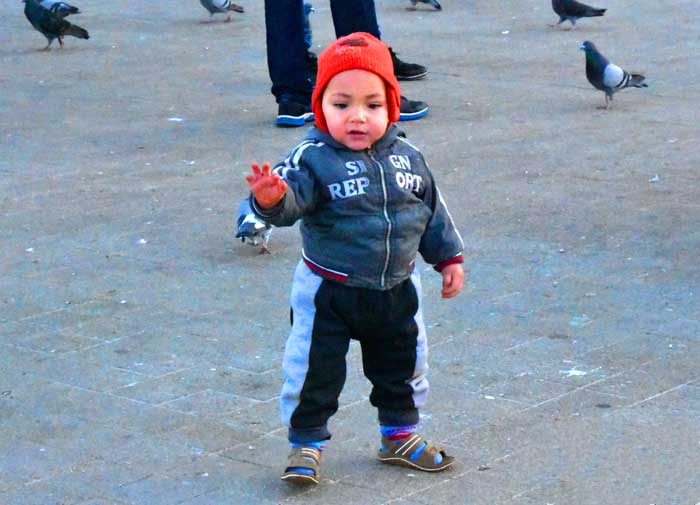 摩洛哥的首都卡萨布兰卡天气,摩洛哥旅游图