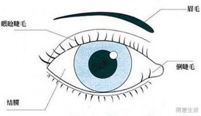 父母必看为孩子收藏,父母必收藏