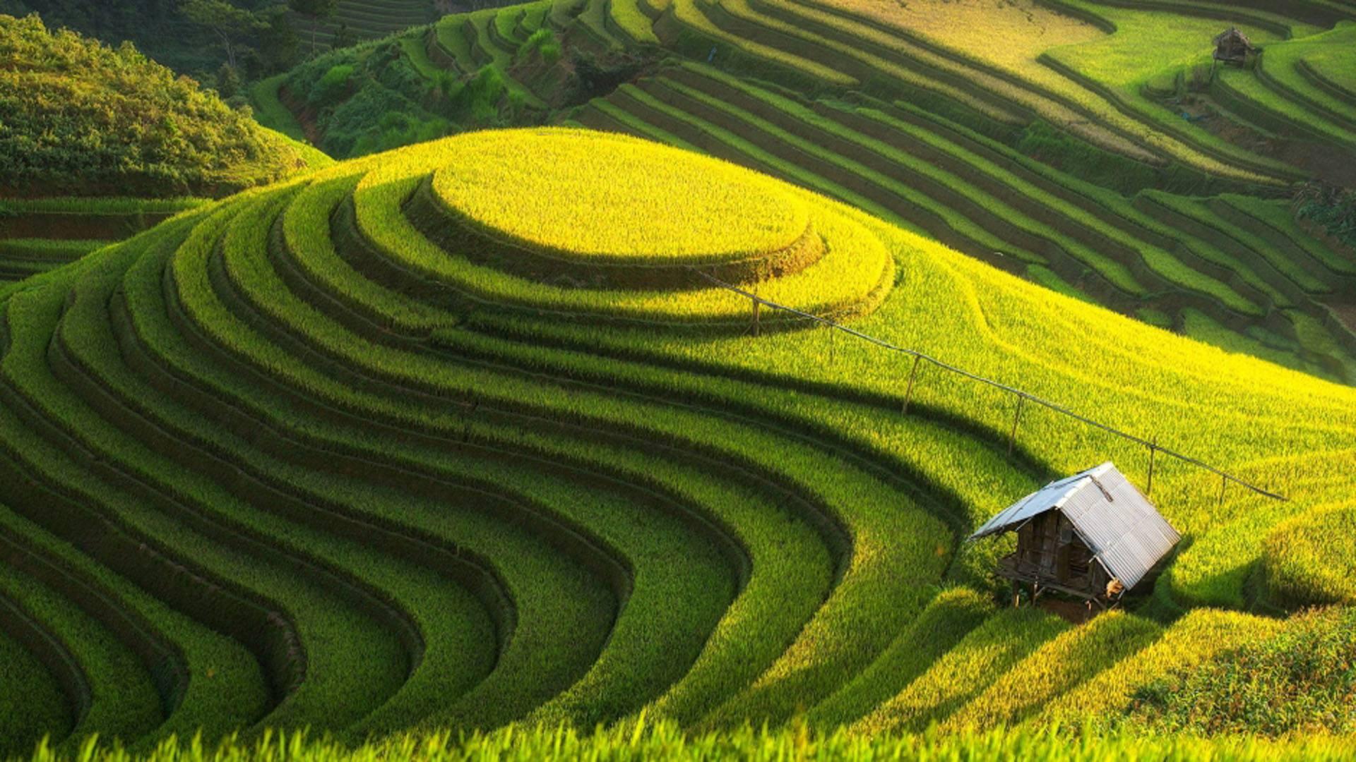 简单有效的自我催眠方法,自我催眠的最好办法