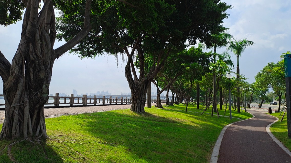 珠海井岸黄楊河湿地公园,20200927